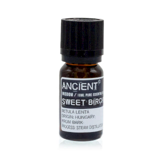 Sweet Birch