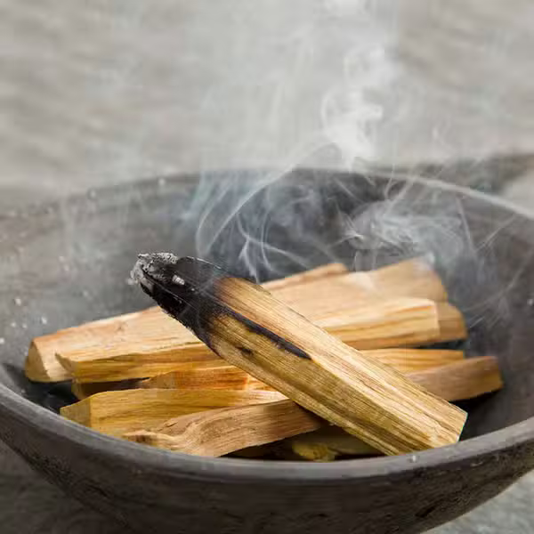 Palo Santo 100g