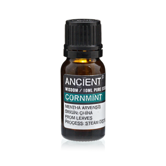 Cornmint