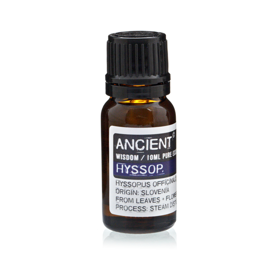 Hyssop