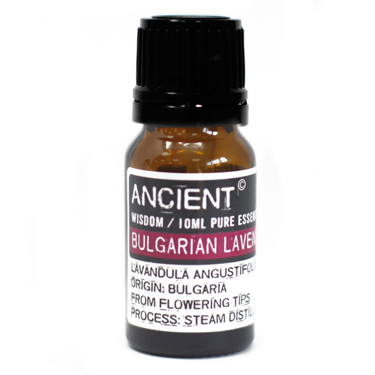 Bulgarian lavender