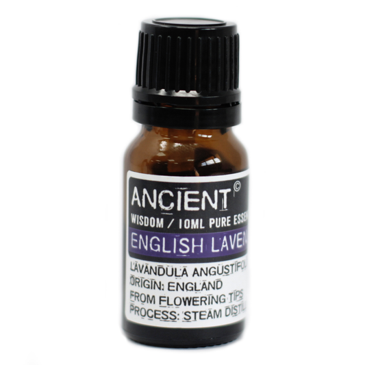 English lavender